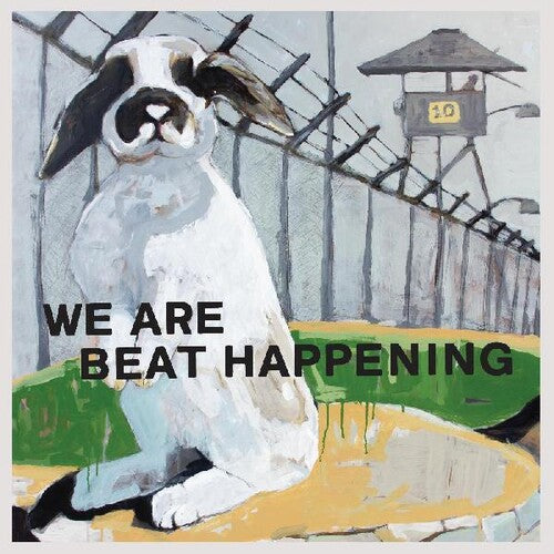 beat happening レコード オファー