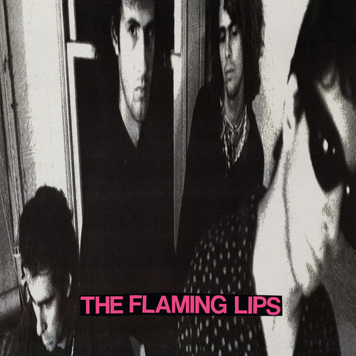 Flaming Lips, The - In a Priest Driven Ambulance