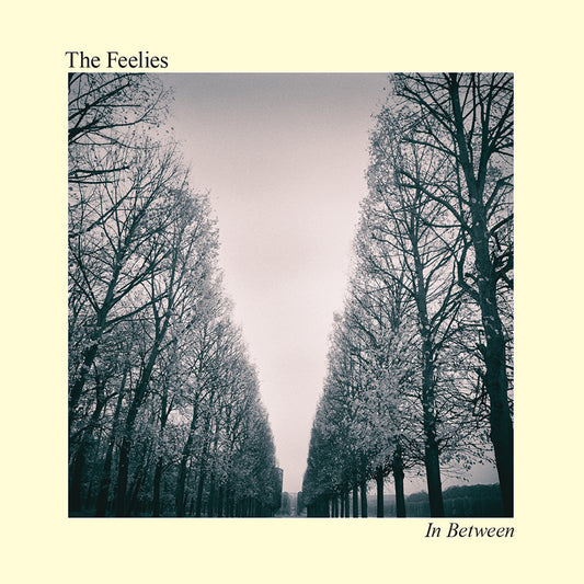 Feelies, The - In Between (Digital Download)