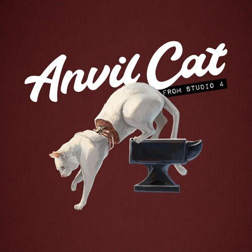 Anvil Cat - From Studio 4 (RSD Black Friday 2023, White Vinyl) (Pre-Loved) - VG+ - 5056167178231 - LP's - Yellow Racket Records