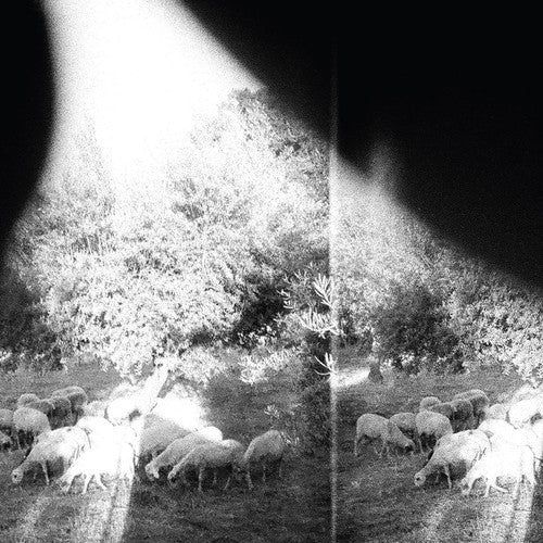 Godspeed You! Black Emperor - Asunder Sweet & Other Distress (180 Gram, Digital Download)