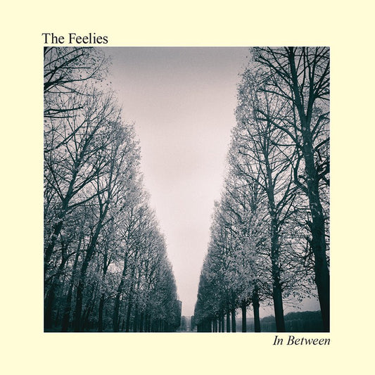 Feelies, The - In Between (Digital Download) - 032862025013 - LP's - Yellow Racket Records