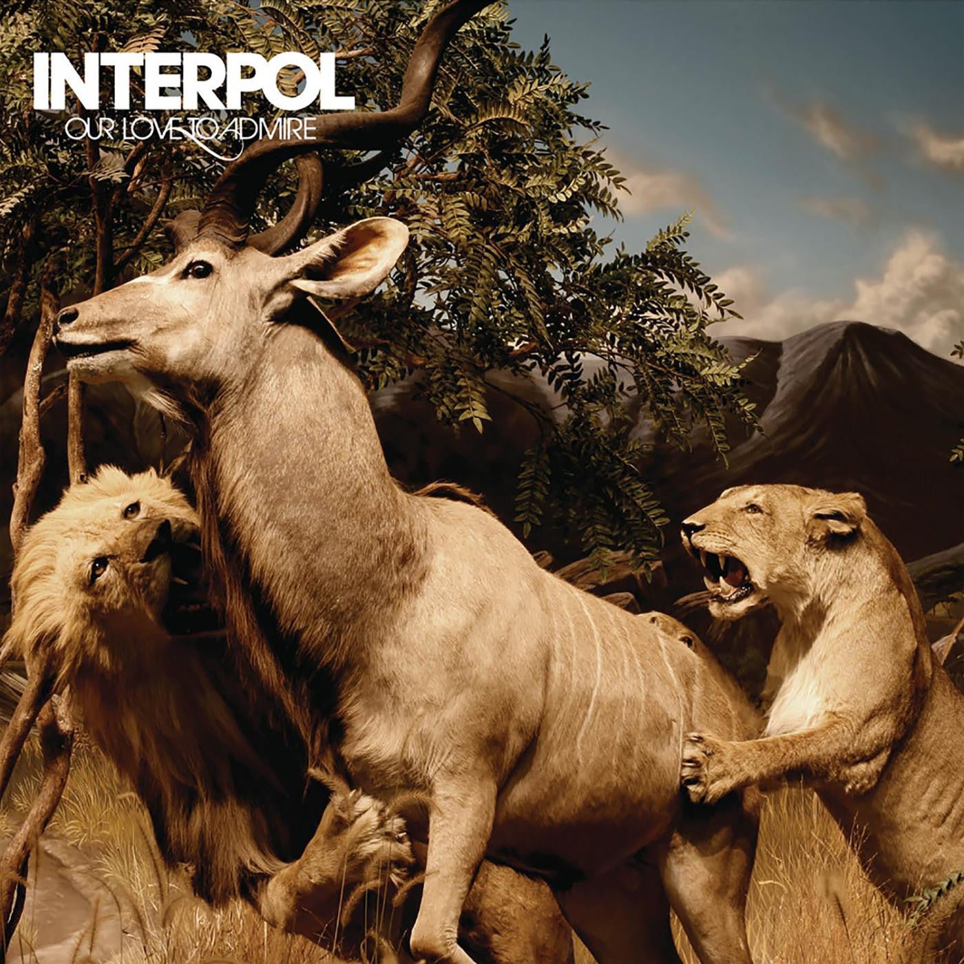 Interpol - Our Love to Admire (2LP, Gatefold) - 191401150415 - LP's - Yellow Racket Records
