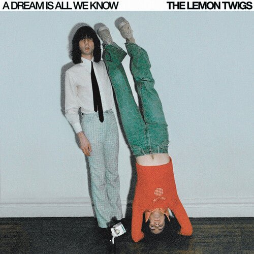 Lemon Twigs, The - A Dream Is All We Know - 817949037512 - Vinyl LP's - Yellow Racket Records