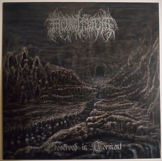 Mortiferum - Preserved In Torment (Limited Edition, Crystal Clear Vinyl) (Pre-Loved) - NM - Mortiferum - Preserved In Torment - LP's - Yellow Racket Records