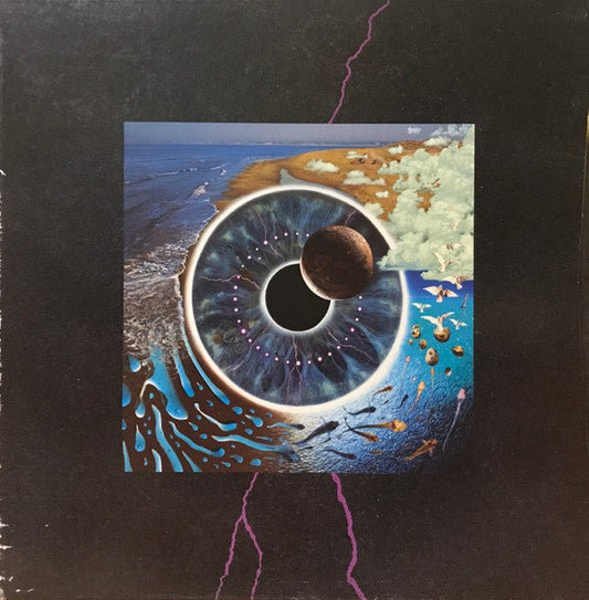 Pink Floyd – Pulse (Box Set) (Pre-Loved) - VG - Pink Floyd – Pulse (Box Set) - LP's - Yellow Racket Records