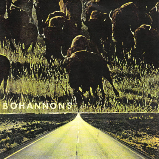 Bohannons, The - DAYS OF ECHO (Gray Vinyl)