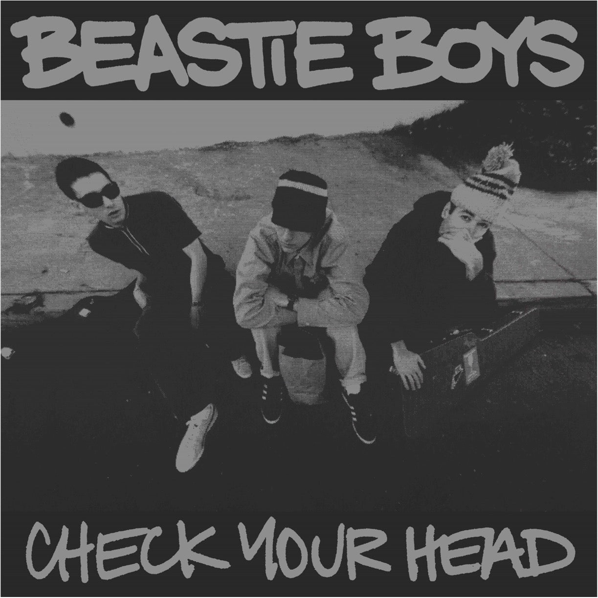 Beastie Boys - Check Your Head (Oversize Item Split, Deluxe Edition, Limited Edition, 180 Gram Vinyl, Indie Exclusive)