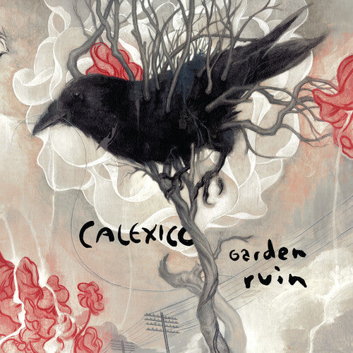 Calexico - Garden Ruin (Silver and White)