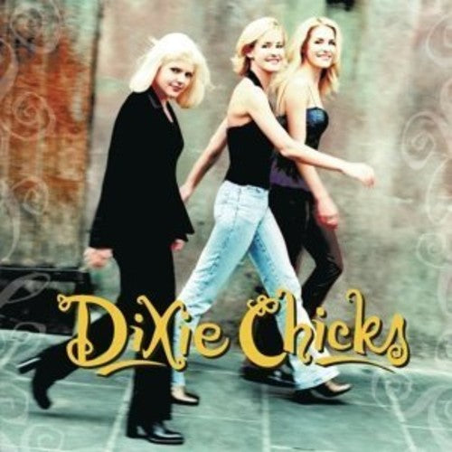 Chicks, The (Dixie Chicks) - Wide Open Spaces (Gatefold)