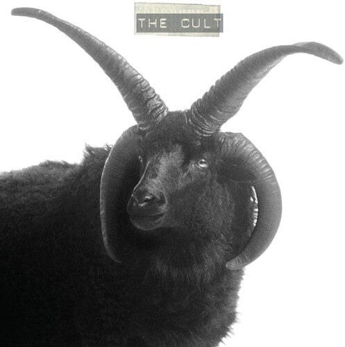 Cult, The - The Cult (Indie Exclusive, White) - 607618229900 - LP's - Yellow Racket Records