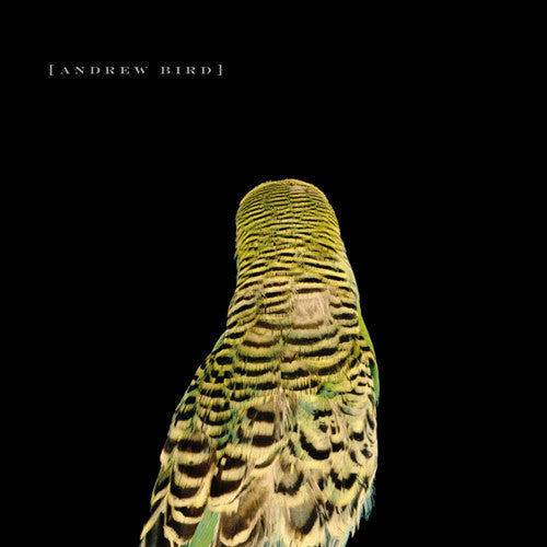 Bird, Andrew - Armchair Apocrypha