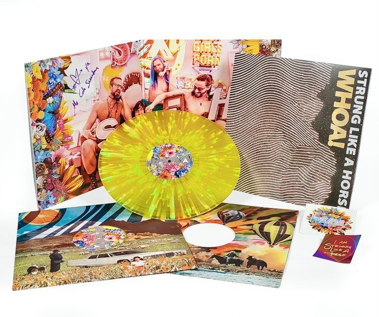 Strung Like A Horse - Whoa! (Yellow Splatter Vinyl) - 843563133293 - LP's - Yellow Racket Records