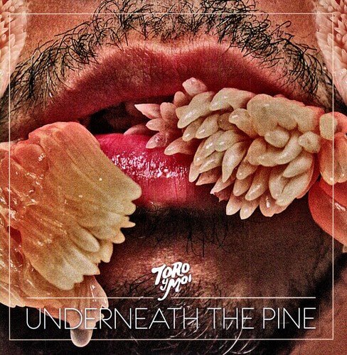 Toro Y Moi - Underneath the Pine - 677517005912 - LP's - Yellow Racket Records