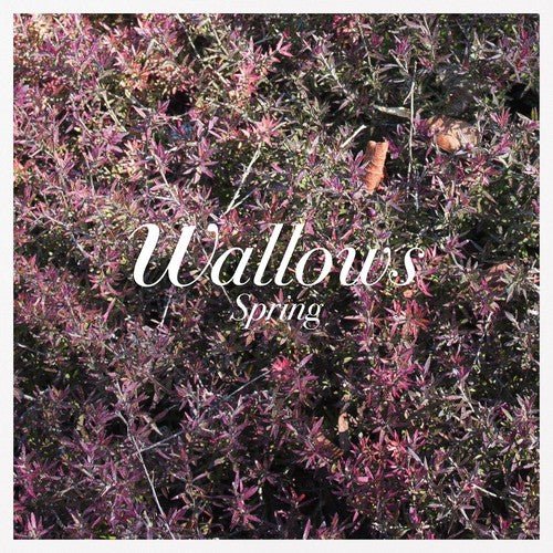 Wallows - Spring (Pink, Green Vinyl) - 075678657641 - LP's - Yellow Racket Records